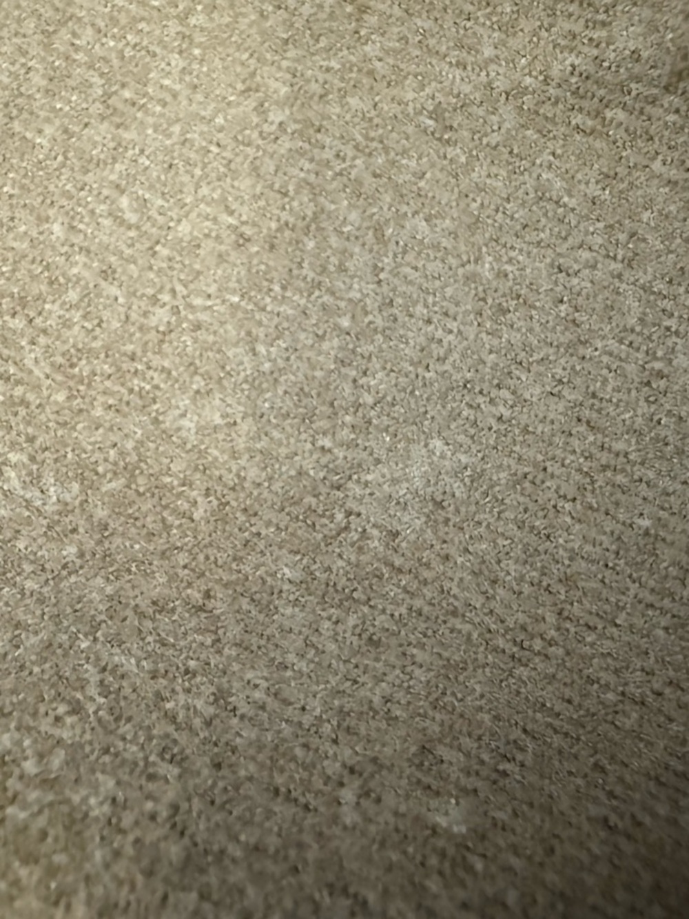 Loft Woman’s Dress Pants - Classic Tailored Fit* Flaw - Picture 5 of 5